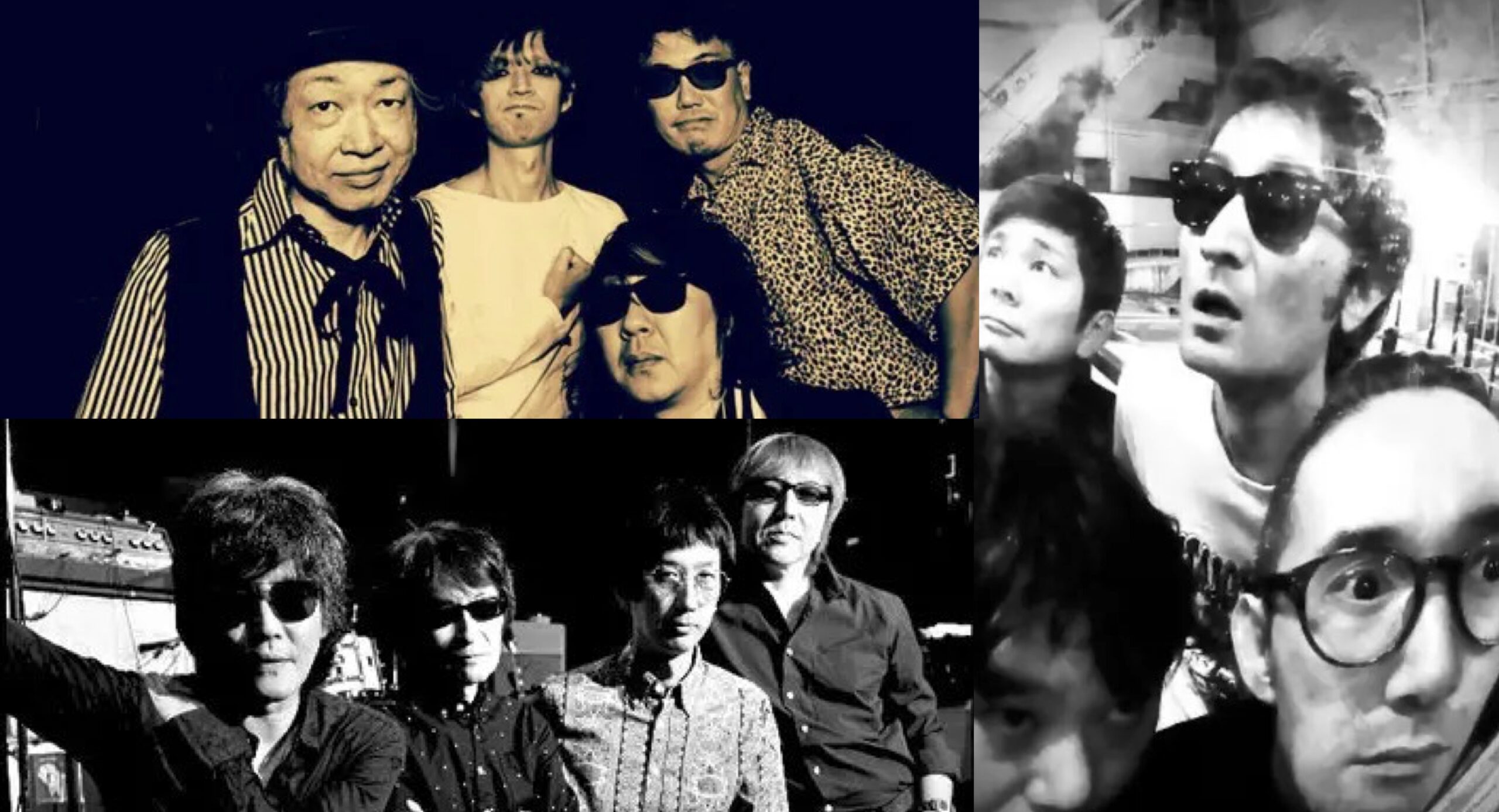 VIOLETS／THE PRIVATES／THE CHOCOLATES